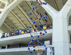 Museo delle scienze Valencia