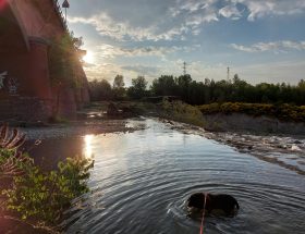 Fiume Enza