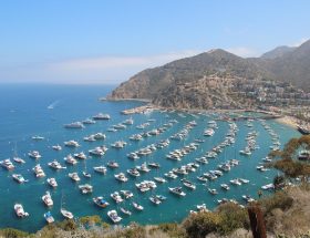 Isola di Catalina