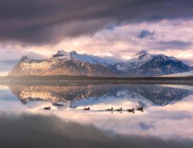 Isole Svalbard